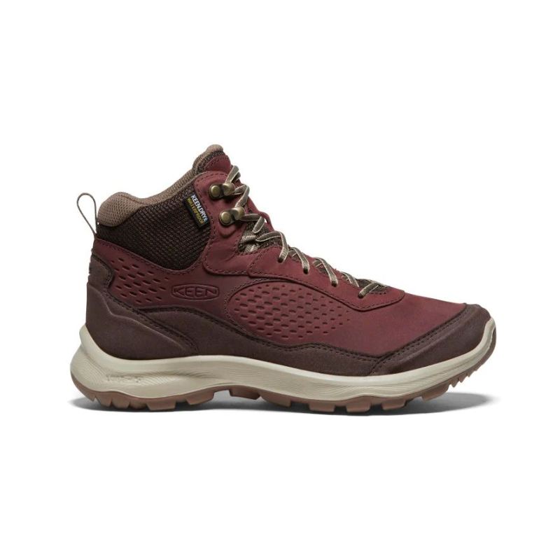 Keen | Terradora Explorer Waterproof Stiefel-Andorra/Java